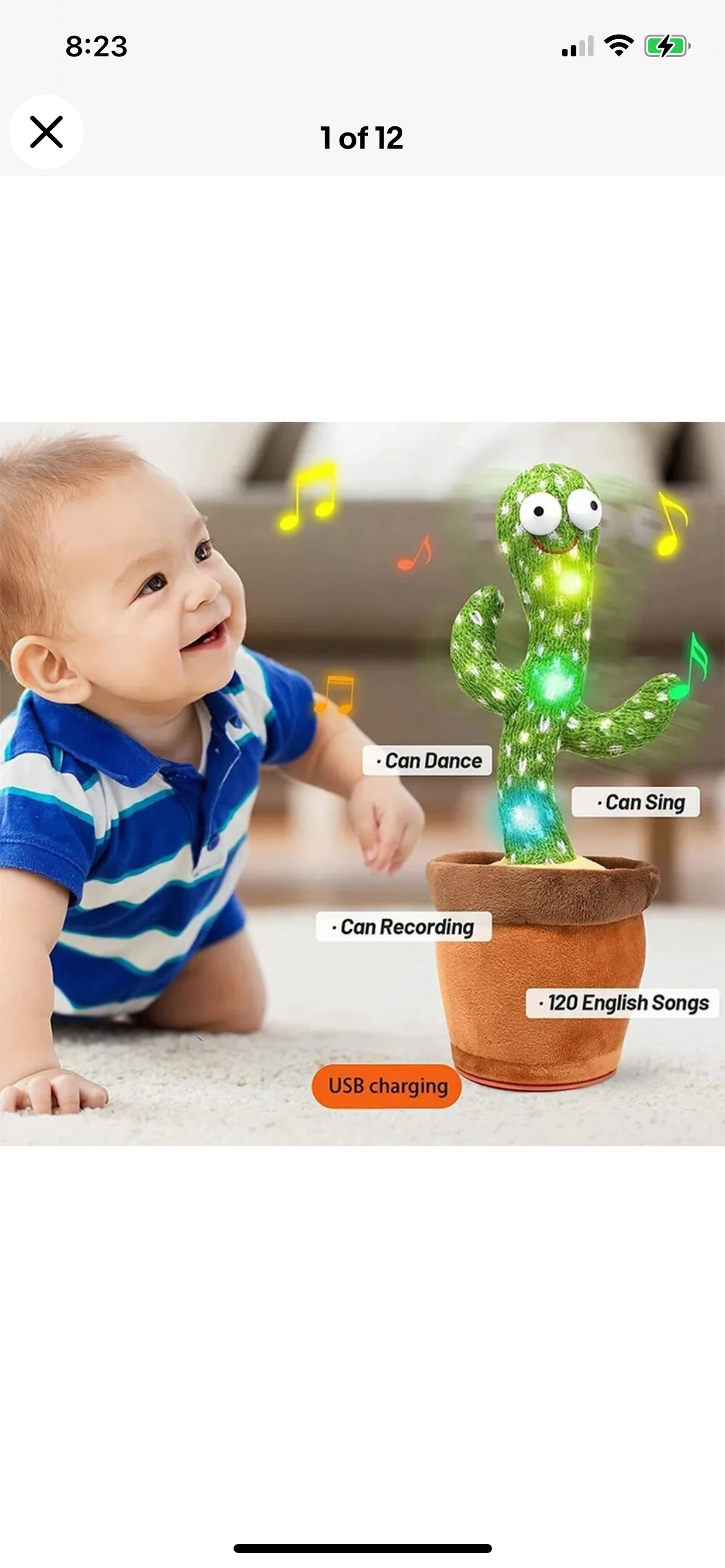 Dancing cactus plant